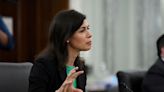 US law on domestic abuse should cover carmakers, FCC chair says