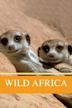 Wild Africa