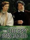 The Cherry Orchard (1999 film)
