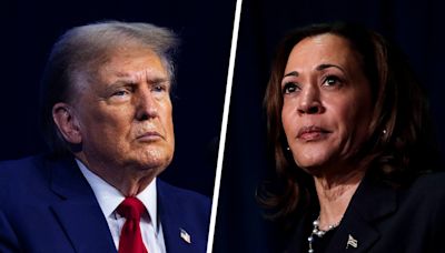 Trump picks a nickname for Harris that no one seems to understand