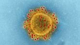 Coronavirus: China’s lightning response may not be enough