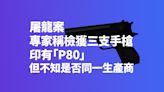 屠龍案專家稱檢獲三支手槍印有「P80」但不知是否同一生產商