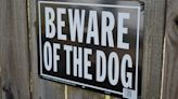 Terrifying pit bull attack proof why Kennewick, others must reassess dangerous dogs | Opinion