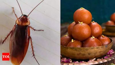 Man finds cockroach in gulab jamun at Pind Balluchi restaurant in Ghaziabad | Ghaziabad News - Times of India