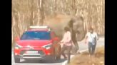 Men run for lives from angry elephant; it doesn’t end well