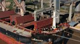 Son 18.000 toneladas a Europa: una empresa china exportó desde la Argentina harina de soja certificada libre de deforestación