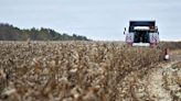 Brussels proposes steep EU tariffs on Russian grain, fearing market turmoil