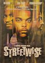 Streetwise (1998 film)