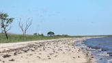 The best 'secret' beaches in Delaware: Broadkill, Pickering, Slaughter. Plan your visit.