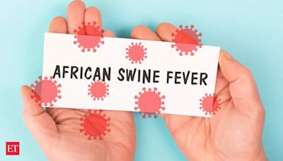 IIT Guwahati researchers discover RNA-destroying function of p30 protein in African swine fever virus - The Economic Times