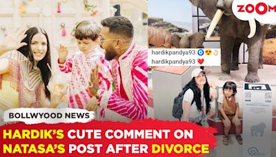 Hardik Pandya leaves a CUTE comment on Natasa Stankovic's post following their divorce!