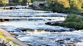 Angling suspended after 900 unexplained salmon deaths in Sligo river - news - Western People