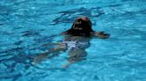 Arranca la temporada de baño 2024: está permitido realizar 'topless' en las piscinas comunitarias