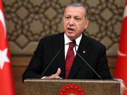 La OTAN debería evitar ser parte del conflicto, afirma líder turco - Noticias Prensa Latina