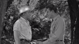 What Happened to Karl Swenson? The Actor Who Played Mr. McBeevee on ‘The Andy Griffith Show’