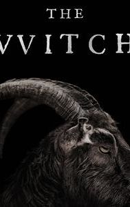 The Witch (2015 film)