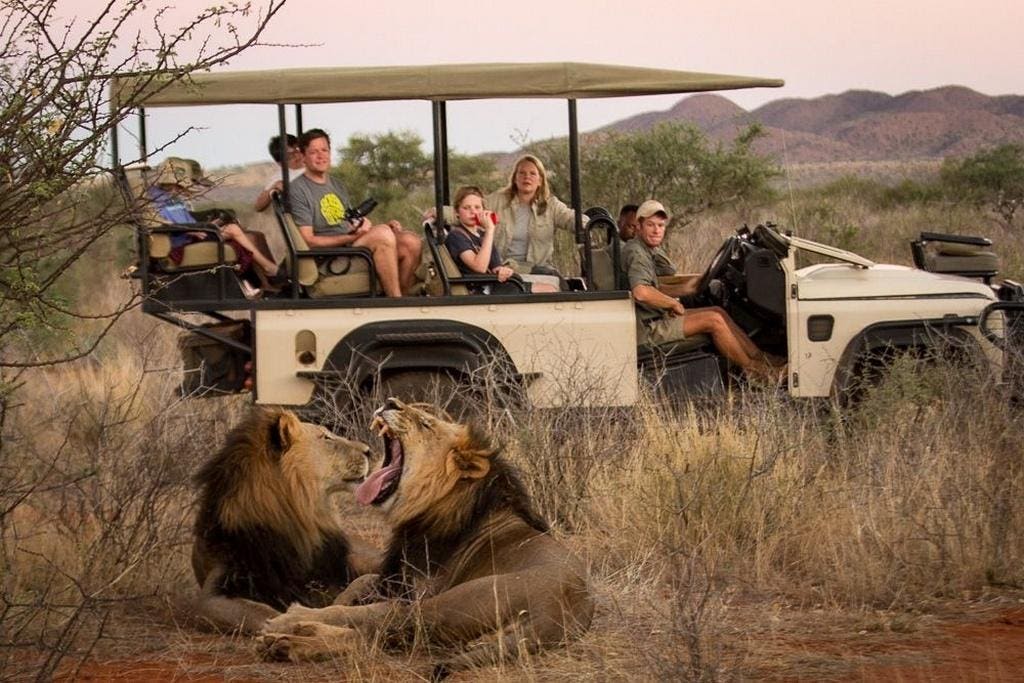 Discover 5 Reasons Tswalu Is South Africa’s Premier Safari Lodge