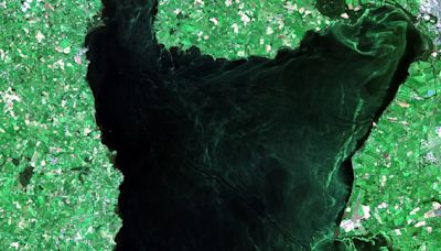 Space Agency giving NI funding to monitor harmful algae blooms from above