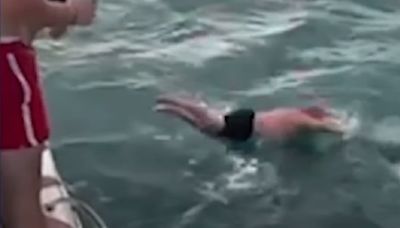 Multado por saltar desde un barco al mar para golpear con su cuerpo a una orca en peligro de extinción: "Es un ejemplo flagrante de estupidez"