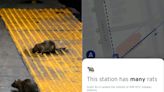 An app is tracking rat sightings at New York subway stations on a scale of 'none' to 'so many.' It's the stuff of nightmares.