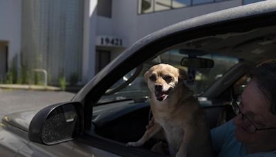 A dangerous heat wave is scorching much of the US. Weather experts predict record-setting temps