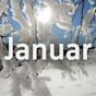 Januar Bild