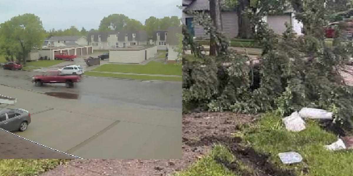 WATCH: Truck crashes into tree before driving away in West Fargo