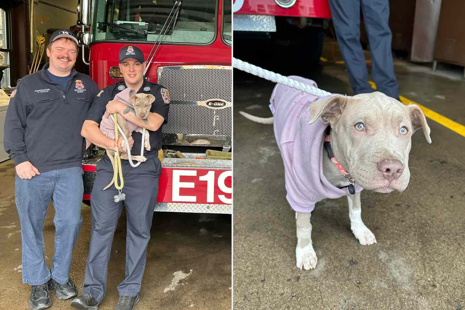 N.Y. Dog Who Lost Her Leg in a Car Accident Is Adopted by Her Firefighter Hero