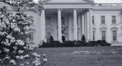 2. The White House