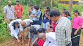 Students to cultivate organic turmeric on campus