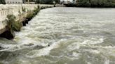 Karnataka Rains: Cauvery in full flow at Srirangapatana; many places along river bank flooded