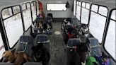 These dogs in Alaska ride on a bus like humans