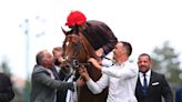 'He boasts a wonderful profile for a stallion' - Chehboub family buy into Prix Jean Prat winner Puchkine