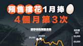 【本港樓市】預售樓花1月捧蛋，4個月第3次