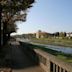 Parma (river)