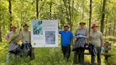 Hoosier National Forest staff pull garlic mustard at Pioneer Mothers Memorial Forest