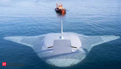 Secret US Navy under sea drone Manta Ray spotted, later disappears from Google Maps