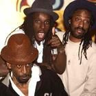 Aswad