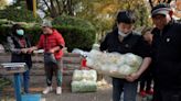 Chinese farmers let cabbages rot as COVID curbs disrupt sales