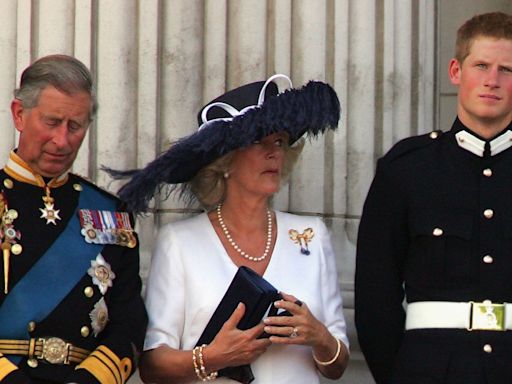 The Actual Reason King Charles Won't See Prince Harry Has Everything to Do With Queen Camilla, Per Sources