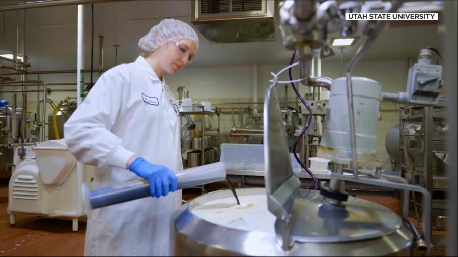 Utah State University's 'Cow to Cone' event shows the process of how ice cream is made