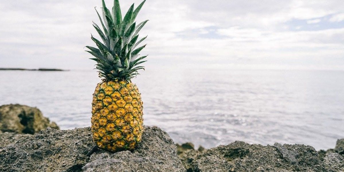 Pine for a pint: Blood Bank of Hawaii celebrates National Pineapple Day in a unique way