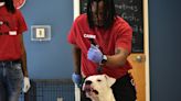 Former Fulton County Jail inmates helping reduce shelter dogs' time behind bars