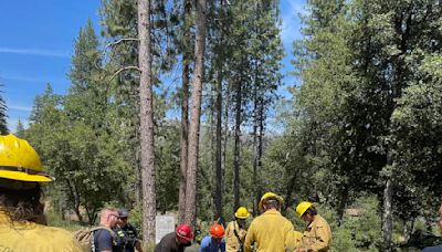 Couple found dead in water outside Yosemite: 'James died a hero trying to save his girlfriend'