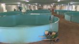 Victoria, P.E.I., fish farm scales back expansion plans after residents voice concerns