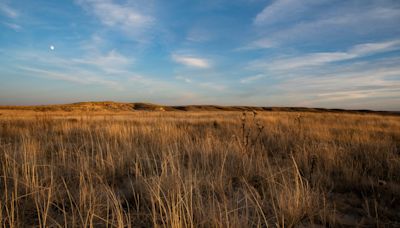USFWS plans to expand 3 Texas wildlife refuges, but critics take issue with Muleshoe site