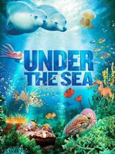 Under the Sea