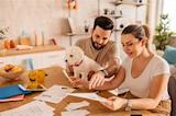 What Is Pet Insurance and How Does It Work? | U.S. News