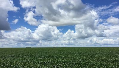 Terra Santa anuncia pagamento de R$ 8,3 milhões em dividendos