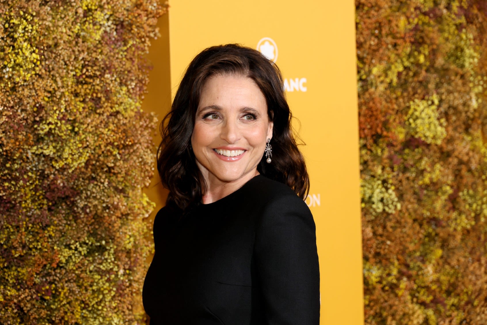 Julia Louis-Dreyfus will infuse the DNC with "Veep" energy